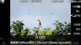 OM-1 Mark II & M.ZUIKO DIGITAL ED 150-600mm F5.0-6.3 IS/1200mm相当で手持ち撮影を可能にする5軸シンクロ手ぶれ補正【OM SYSTEM公式】