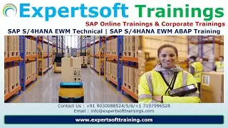 SAP S4HANA EWM Technical Training | SAP EWM ABAP Training | SAP EWM Technical Online Training