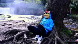 Breezewax - I Dream Of Green (Official Video)