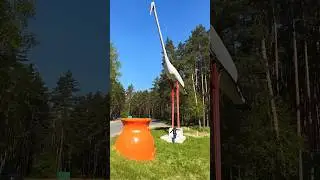 📍Гигантский аист на трассе