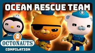 ‪@Octonauts‬