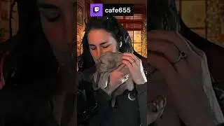 cute doggo | cafe655 on #Twitch