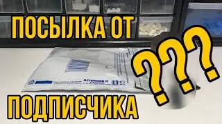 МНЕ ПРИШЛА ПОСЫЛКА ОТ ПОДПИСЧИКА! ВОТ , ЧТО ТАМ БЫЛО...