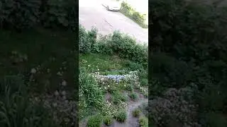 11 июня 2020 .Жара...