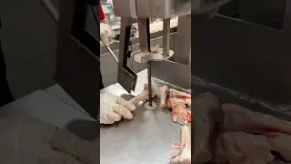 Kemik kesme makinası