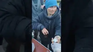 Кормление бездомных людей🌸