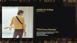 Patrick Droney - Wild Horses Running (Official Audio)