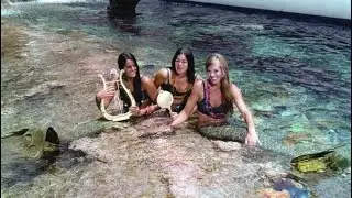 The Real Life Mermaids of 1960s Disneyland