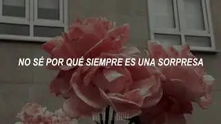 Pet Shop Boys - It Always Comes as a Surprise |Letra Traducida al Español|