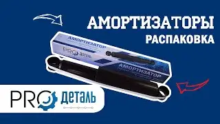 Амортизатор газовый на Газель - какой выбрать, в чем отличие