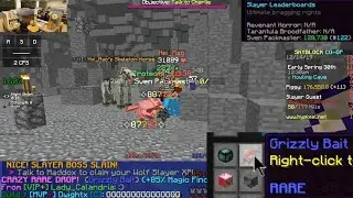 Hypixel🌌 Skyblock [GRIZZLY 🐟 BAIT] Wolf 7 (HEO?)