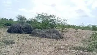 Nature Ka Maza lete Huye || Nature's Vlog || My First Vlog || VLOG 1