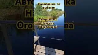 Наблюдение за рыбаком 