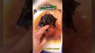 Top 8 Cutest Frog Sounds Ranked!