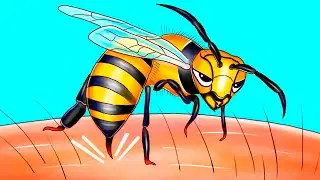 Das ist der Grund, warum Bienen nur einmal stechen können