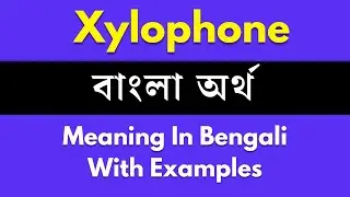 Xylophone Meaning in Bengali / Xylophone শব্দের বাংলা ভাষায় অর্থ অথবা মানে কি