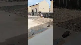 kepergok lgi berak
