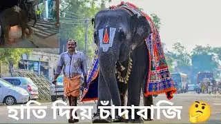 টাকা আদায়ে করার হাতির নানা রকমের কৌশল।