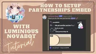 How to set up partner/partnerships using Luminous Nova | Tutorial | Pinky