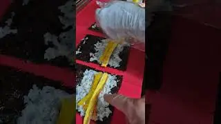 我老婆正在卷紫菜卷饭。大家看看韩国的卷饭怎么卷。마눌님은 단체김밥 마는 중. #food #단체도시락