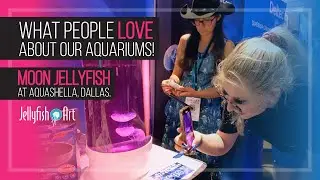 WHAT OUR GUESTS LOVED THE MOST ABOUT OUR JELLYFISH ART JELLYFISH AQUARIUMS AT AQUASHELLA DALLAS.