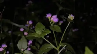 3시간 깊은 수면음악│불면증치료│잠잘오는음악│수면음악 (수면유도음악 잔잔한 노래) 수면유도 | 수면음악 | 잠잘때 듣는 음악