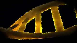 Dna