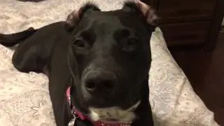 That Time Brooklyn's Ears Were Inside Out
