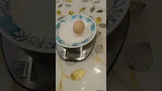 Взвесили очень крупное яйцо от молодой курочки. Это рекорд)