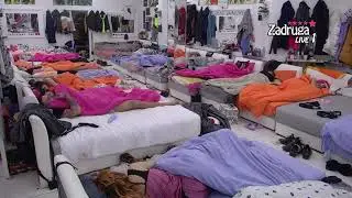 Zadruga 5   Maja i Car  overili  svađom i spavaću sobu   29 12 2021