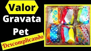 Como Colocar Valor Em Gravata Pet | Jeito Fácil