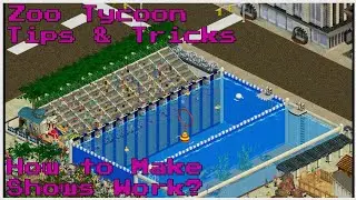 How Do Shows Work? | Zoo Tycoon Tips & Tricks