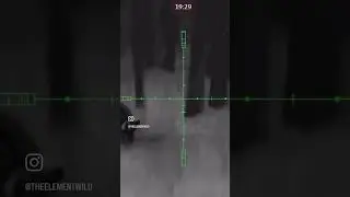 Have you ever used a thermal scope? Full vid on channel. 