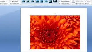 Como insertar una imagen en word y poder moverla