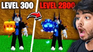 Noob To Max But Every 100 Levels I Have To Roll A Fruit Blox Fruits #4