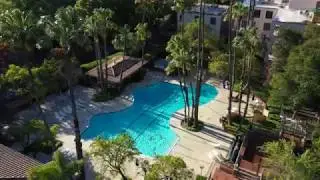 460 N Civic Drive #302  - Walnut Creek, CA 94596   United States