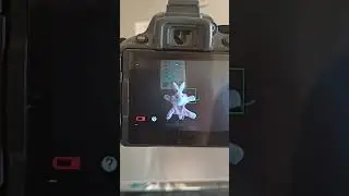 Selective Colour mode,for full video subscribe my channel.