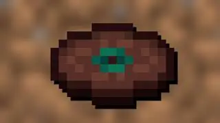18 - Custom Minecraft Music Disc