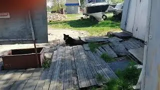 Завтра Открытие судоходного сезона 21 год