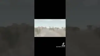 Что за кросота.. #вайлдкрафт #вилдкрафт #игры #видосы #capcut