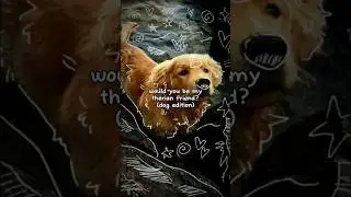 🐾🐕 #dog #dogtherian #therian #therianfyp #therianpride #therianthropy #alterhumans #fypage #fyp #fy