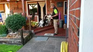 Impulskontrolle beim Hund üben!