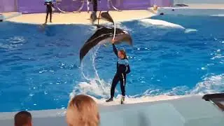 У Чёрного моря