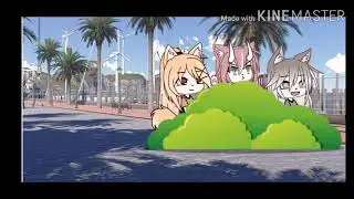 Hula Hula