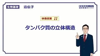 【生物基礎】　遺伝子11　タンパク質の立体構造 （１２分）