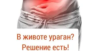 Acipol: How to normalize gut microflora