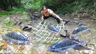 When I got to the shallow stream and saw fish, I made a bamboo basket and caught a big fish