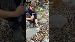 HUNTING For FOSSILS On The Beach 🦑😵‍💫🤯🦞🦖😱😵🐊🔨