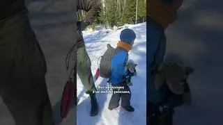 Полный обзор ищите на канале #shorts #белыйветер #санктпетербург #собаки #олени #поход #рюкзак