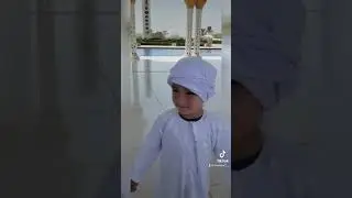 Desde Dubai en la Mezquita Sheikh Zayed